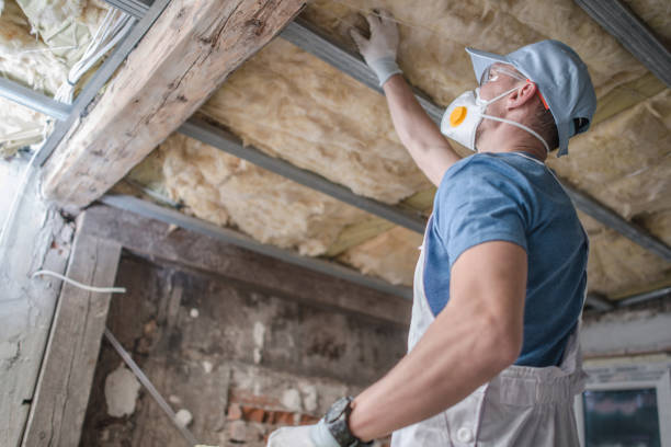 Insulation Contractors for Homes