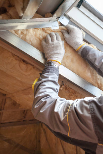 Best Professional Insulation Contractor  in South San Jose Hills, CA