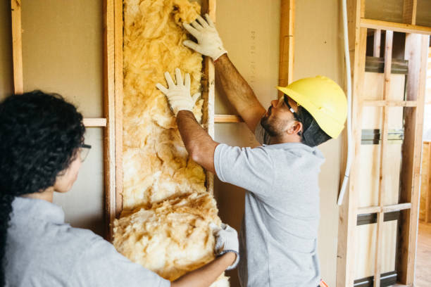 Professional Insulation Contractor in South San Jose Hills, CA