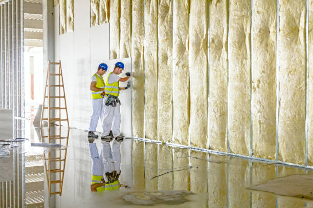 Attic Insulation Near Me in South San Jose Hills, CA